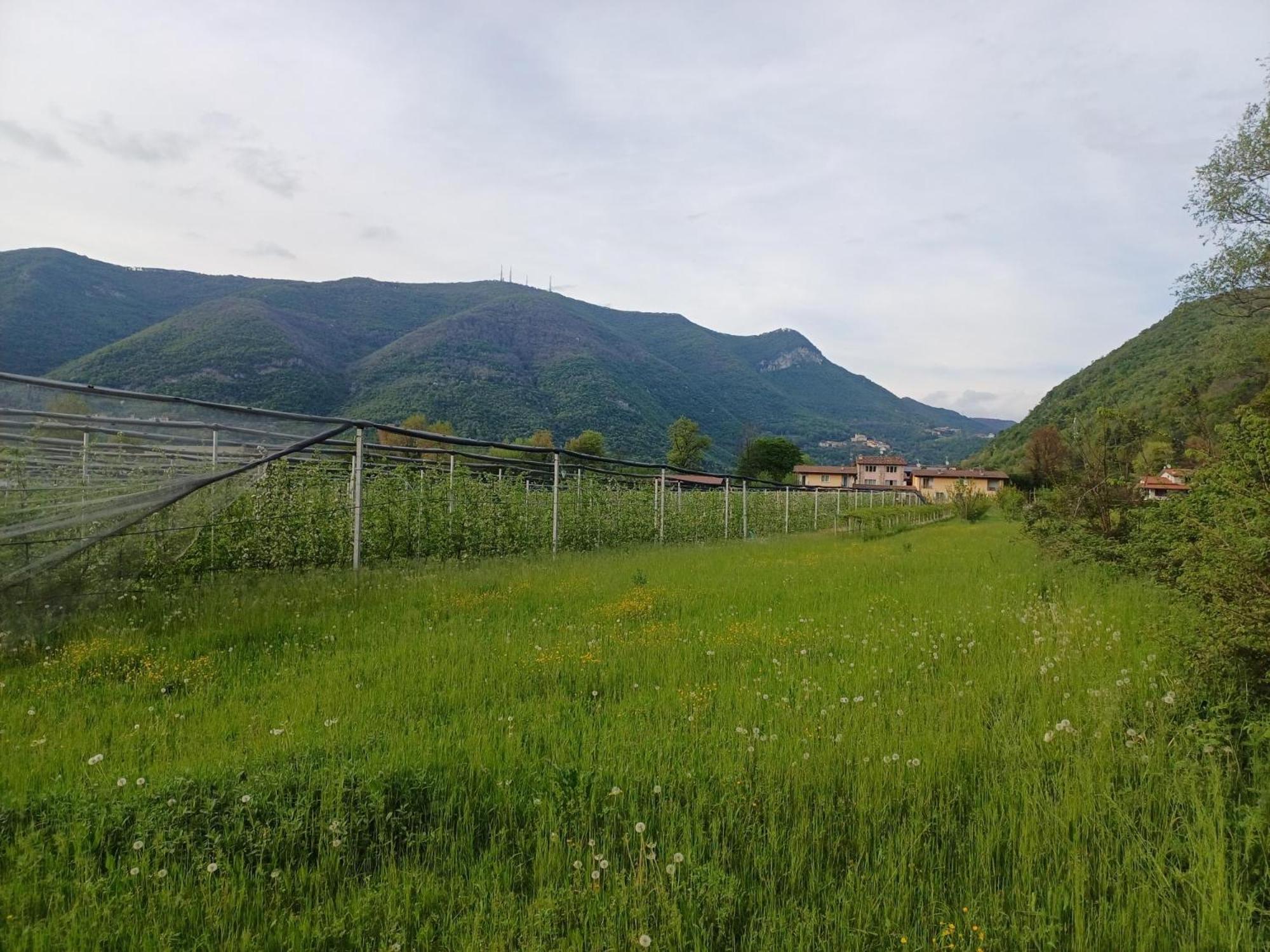 דירות Villanuova sul clisi Cascina Legnago Bilocale A 6 Chilometri Da Salo' מראה חיצוני תמונה