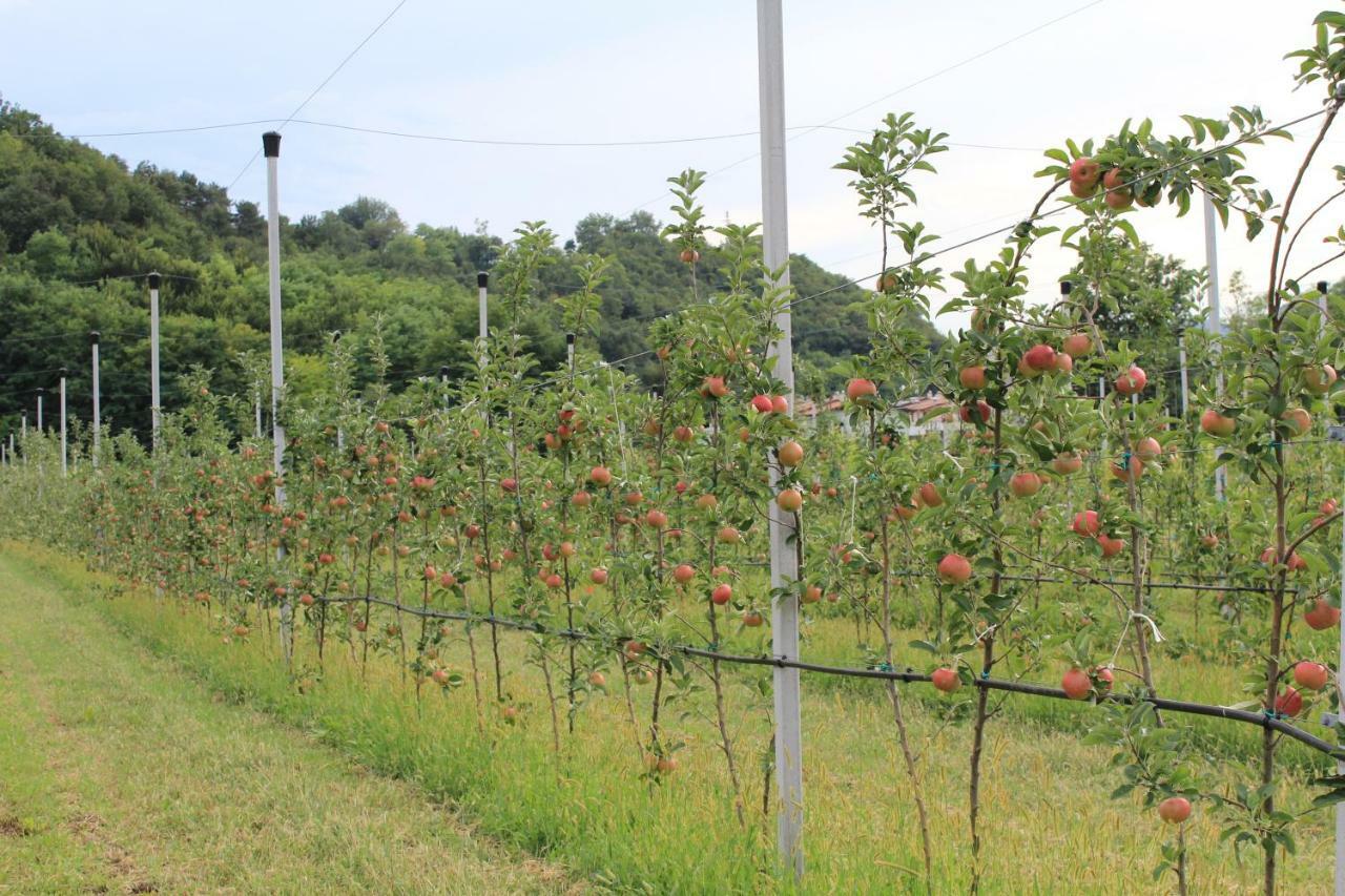 דירות Villanuova sul clisi Cascina Legnago Bilocale A 6 Chilometri Da Salo' מראה חיצוני תמונה